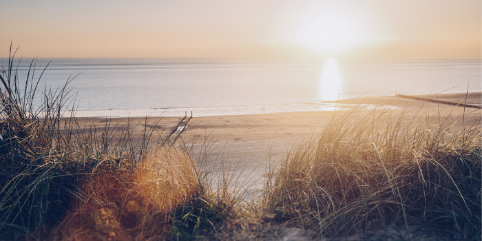 Wereldoceanendag vieren